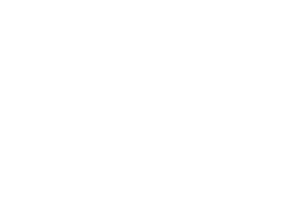 Artemis Family Law logo white